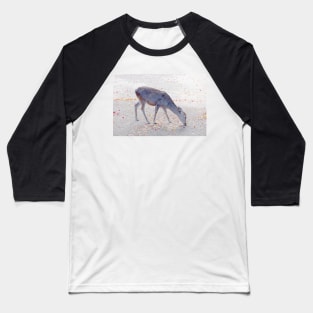 Deer 3 Baseball T-Shirt